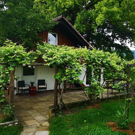 Guesthouse Ankl Lesce  Kültér fotó