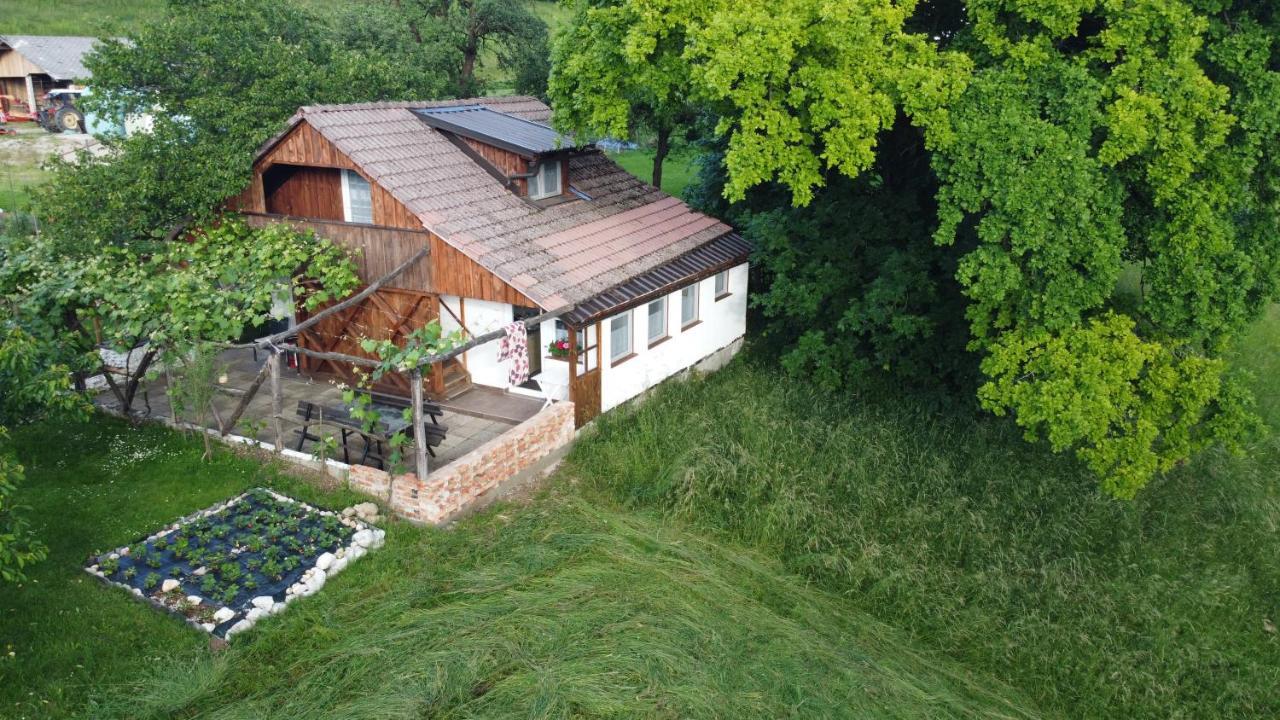 Guesthouse Ankl Lesce  Kültér fotó