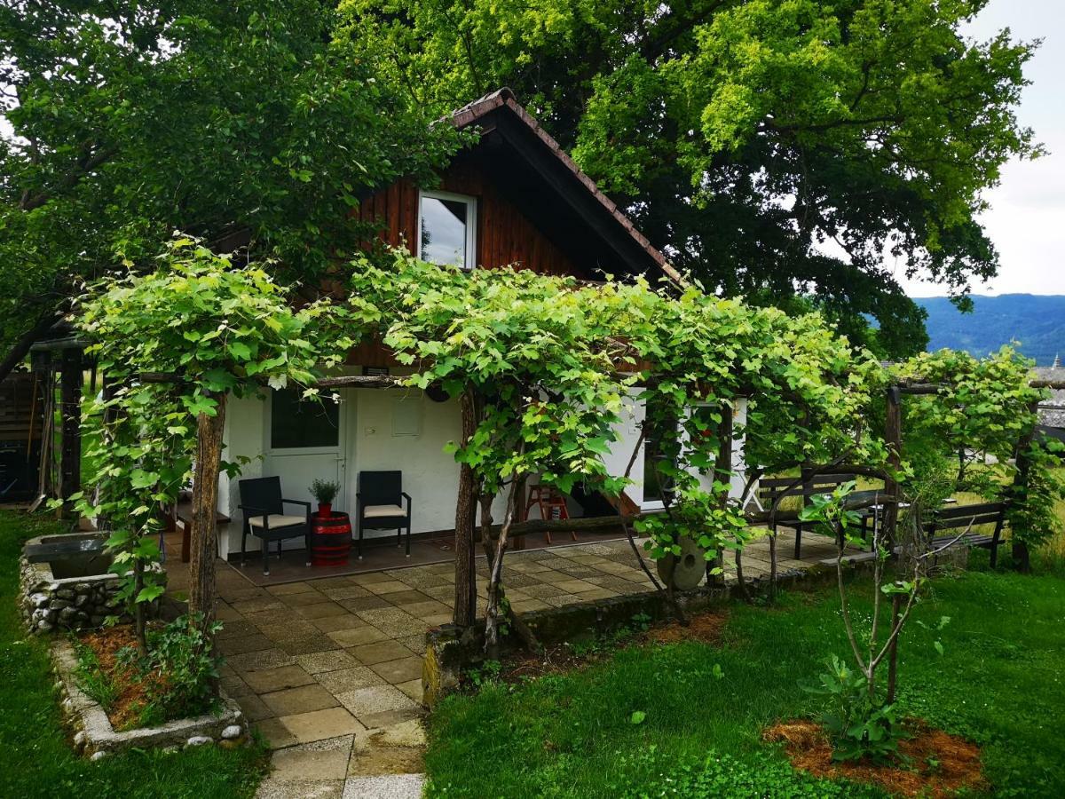 Guesthouse Ankl Lesce  Kültér fotó